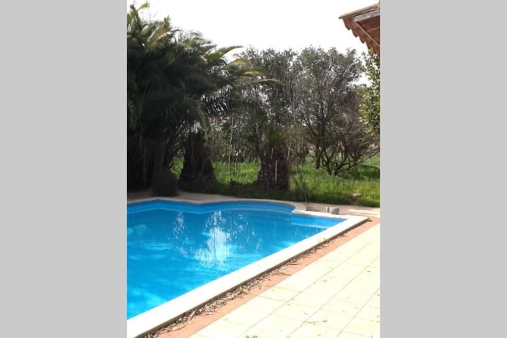 Big Relax Apartment With Swimming Pool And A Peaceful Garden In A Private Villa Sestu Zewnętrze zdjęcie