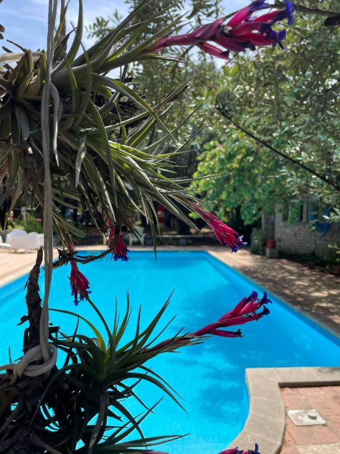 Big Relax Apartment With Swimming Pool And A Peaceful Garden In A Private Villa Sestu Zewnętrze zdjęcie